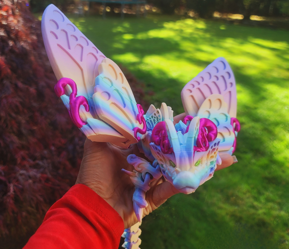 Butterfly Dargon