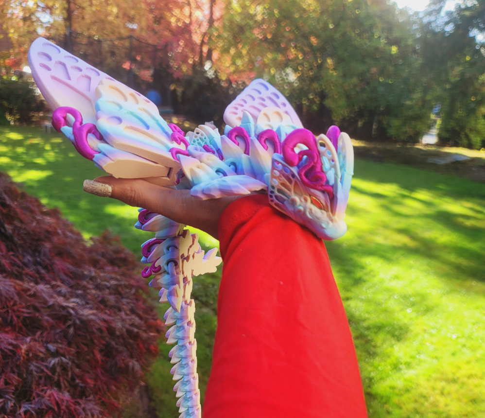 Butterfly Dargon