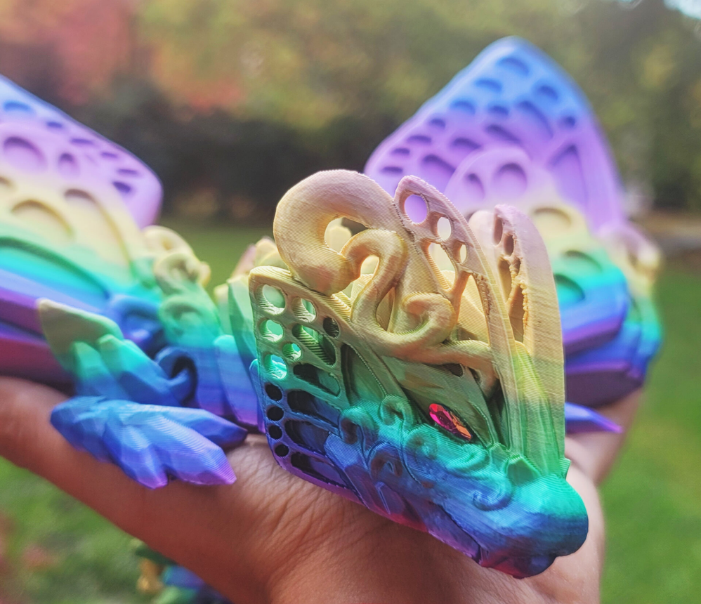 Butterfly Dargon
