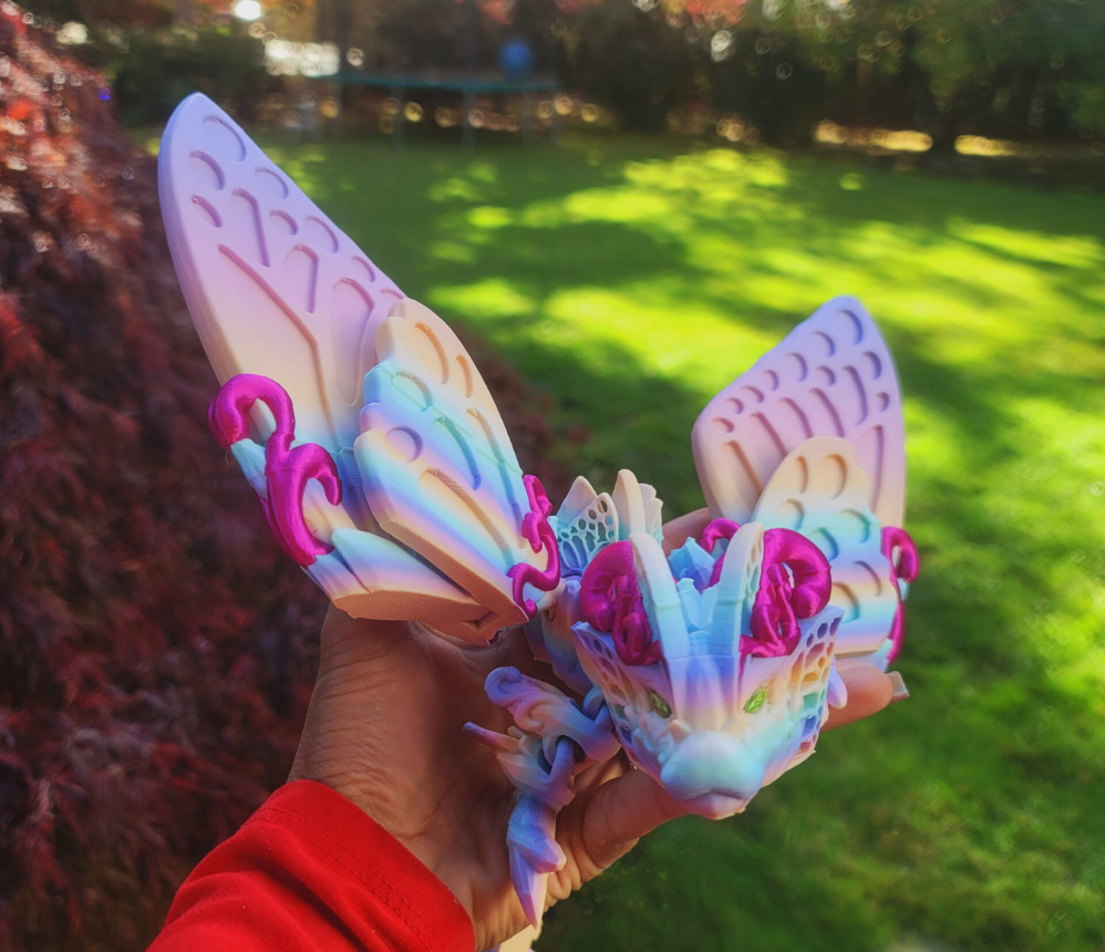 Butterfly Dargon